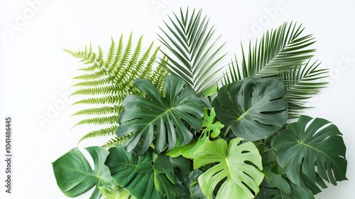 Lush green tropical plants leaves bush leaf with monstera, palm, rubber plant, pine and fern