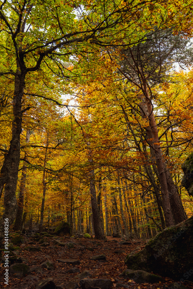 Fototapeta premium Urbion Mountains and Black Lagoon (Sierra de Urbion - Laguna Negra) Nature Reserve, Soria, Spain. Autunm season. Colorful picture.