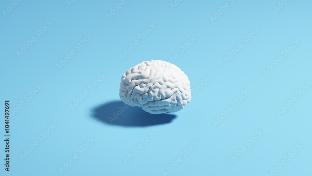Brain human white pale blue background sunlight shadow classic simple 3d illustration render Brain human white pale blue background sunlight shadow classic simple 3d illustration render