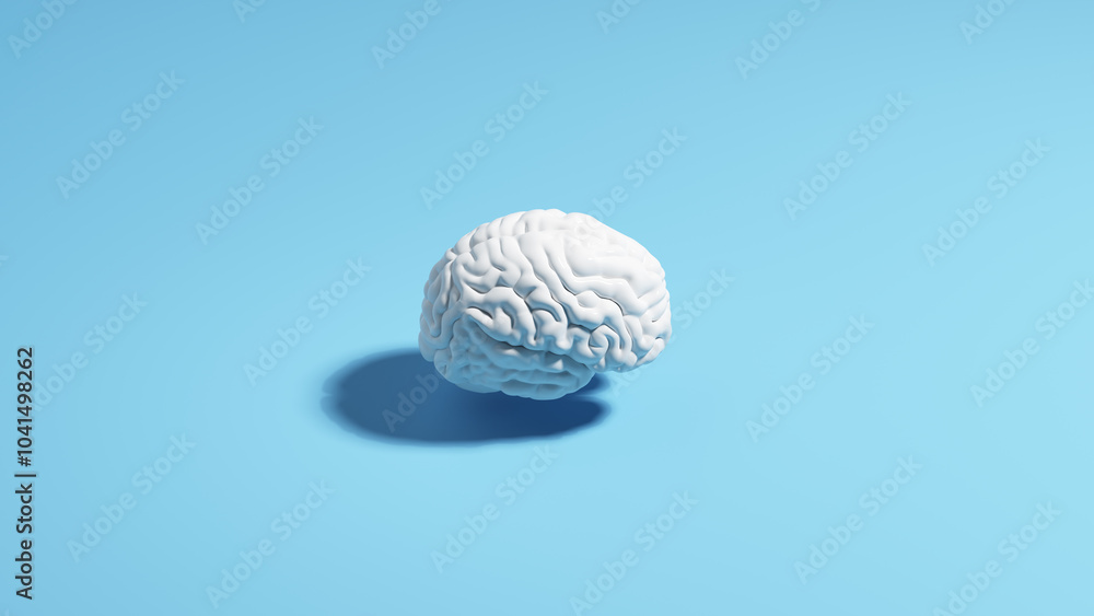 Brain human white pale blue background sunlight shadow classic simple 3d illustration render Brain human white pale blue background sunlight shadow classic simple 3d illustration render
