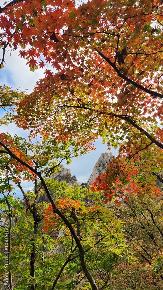 autumn landscapes. Image of autumn scenery of Dobongsan Mountain near Seoul, Korea. Hiking in Dobosan National Park. korea mountains. trekking. korean landscapes. bukhansan national park. autumn landscapes. Image of autumn scenery of Dobongsan Mountain near Seoul, Korea. Hiking in Dobosan National Park. korea mountains. trekking. korean landscapes. bukhansan national park.
