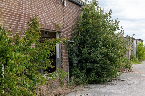 Old abandoned overgrown and ransacked farm in the Netherlands photo