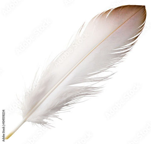 PNG White feather white background lightweight accessories.