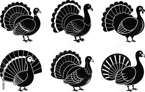 A collection of stylized black silhouettes of turkeys in various poses, showcasing their distinct plumage and features. photo