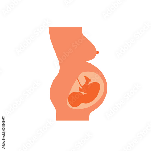 Pregnancy illustration. Woman belly silhouette vector illustration. Closeup of an abstract pregnant woman with embryo in her maw side view. Isolated pregnancy medical concept
