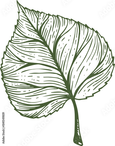 Green sceleton image of leaf over white