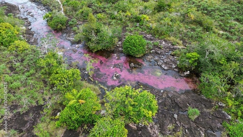 Aerial photo of Cano Cristales, a river located in the Serranía de la Macarena, Colombia