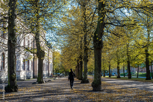 Wallpaper Mural Unrecognizable people walk the Southern Promenade during autumn in Norrköping, Sweden. The Promenades in Norrkoping were inspired by Ringstrasse in Wien and the boulevards in Paris. Torontodigital.ca