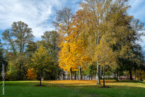 Wallpaper Mural Autumn colors in Norrköping during autumn in Sweden early October 2024 Torontodigital.ca