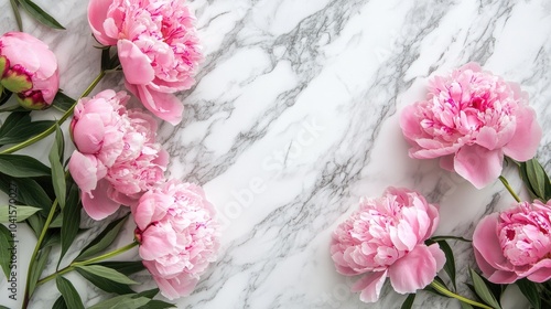 Fototapeta Naklejka Na Ścianę i Meble -  Pink peonies against a soft marble background Space for text Flat lay composition