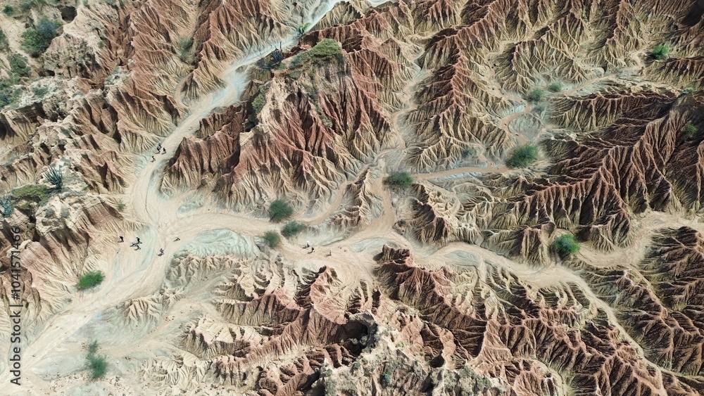 image to crop