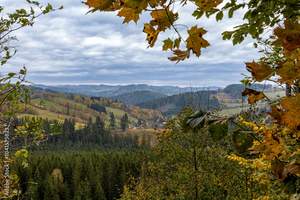 Naklejka premium View from autumn forest to beautiful diverse mountainous landscape