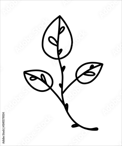 Vector outline sketch of a leaf or twig on a separate transparent background. Natural shapes of plants and flowers for logo or design