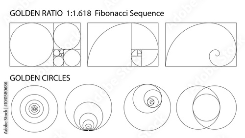 Golden ratio 1:1.618. Harmony proportions vector template. Editable stroke. Ratio used in design for well balanced proportion.