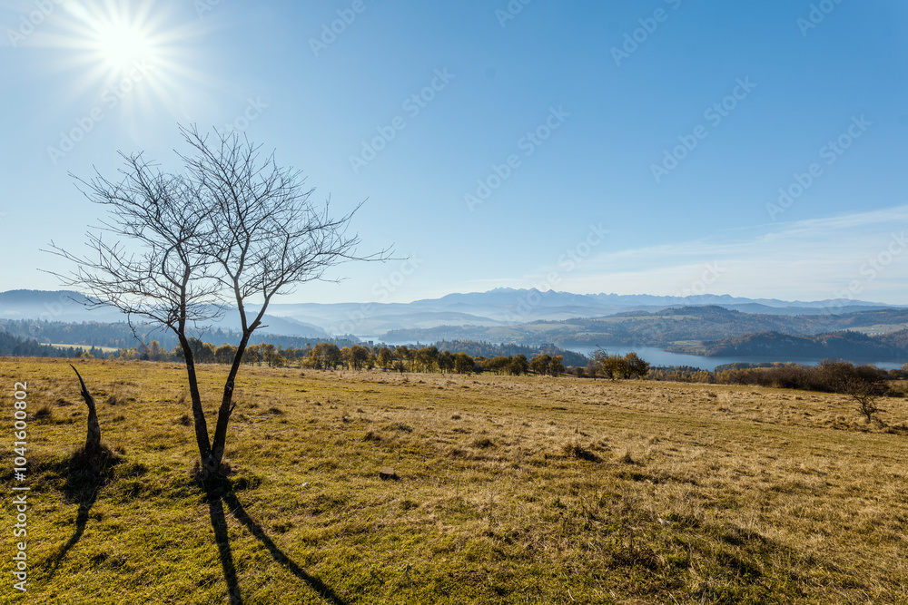 Silhouette of a tree without leaves against the background of an autumn mountain landscape. View of Lake Czorsztyńskie and the Tatra Mountains. Czorsztyn, Poland