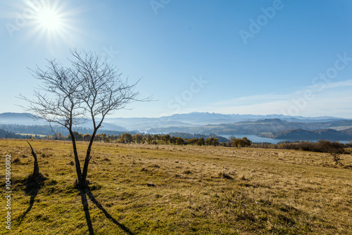 Obraz na płótnie Silhouette of a tree without leaves against the background of an autumn mountain landscape. View of Lake Czorsztyńskie and the Tatra Mountains. Czorsztyn, Poland w salonie