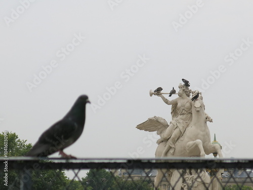 Paloma con escultura de fondo 
en Paris