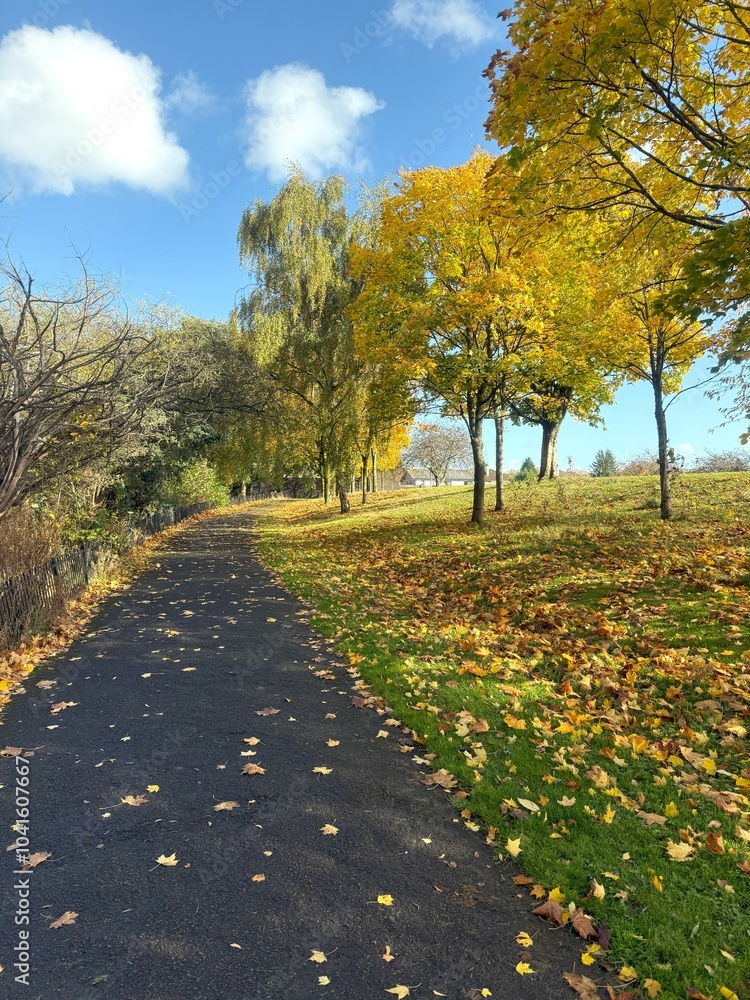 Naklejka premium Vibrant Autumn Path in Scotland: Yellow Trees and Fallen Leaves Adorn a Serene Walkway Under a Bright Blue Sky with Fluffy Clouds, Capturing the Tranquil Beauty of Fall in a Scenic Natural Landscape.