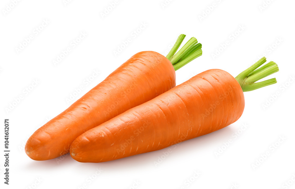 Two fresh Carrots isolated on white background. Clipping path. Two fresh Carrots isolated on white background. Clipping path.