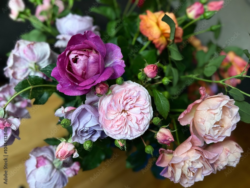 Fototapeta premium Roses