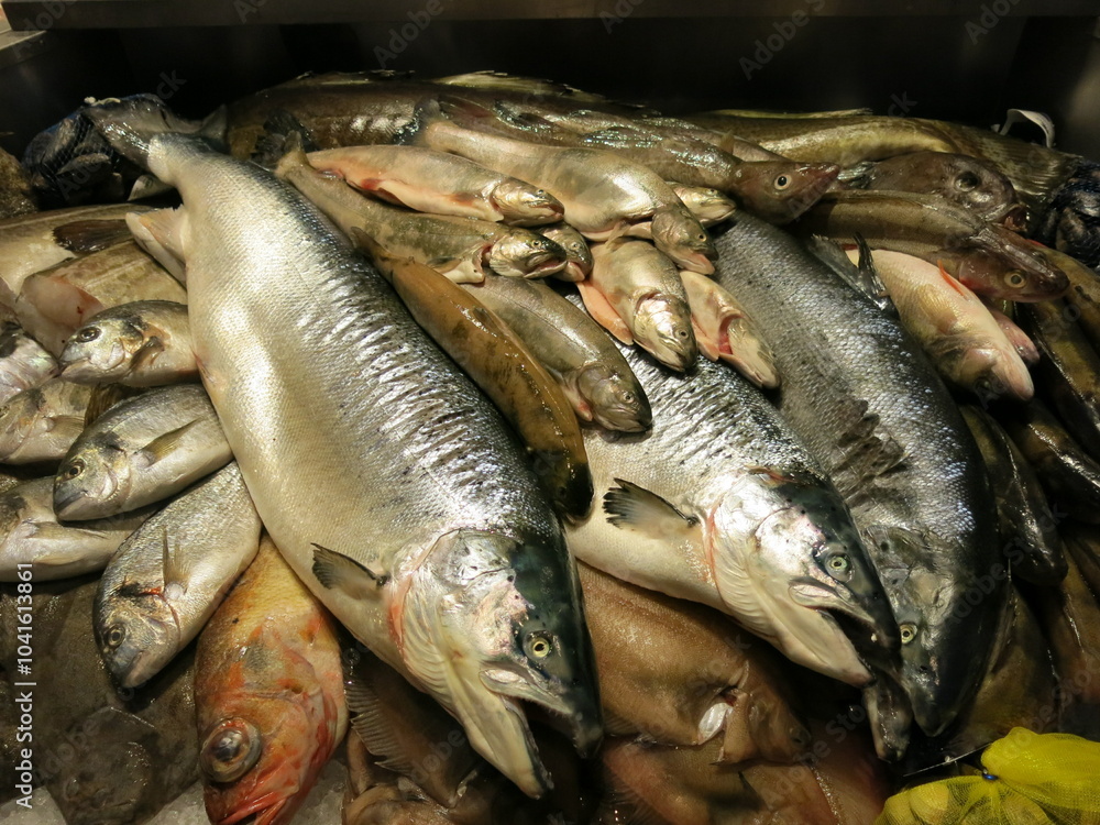 Fototapeta premium pescados