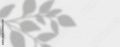 Glare from the sun's rays on the wall. Blurred shadows from leaves and plants in the room. Soft overlay of natural light. Abstract background for product presentation.Natural light layout.