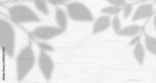 Glare from the sun's rays on the wall. Blurred shadows from leaves and plants in the room. Soft overlay of natural light. Abstract background for product presentation.Natural light layout.