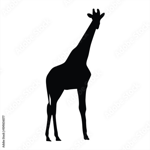 Giraffe silhouette. Giraffe black icon on white background. Perfect for Logo, Design, and More. photo