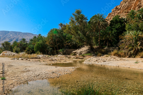 Explore the serene beauty of Wadi Shab Oasis in Oman featuring lush palm trees and clear waters under a bright blue sky photo