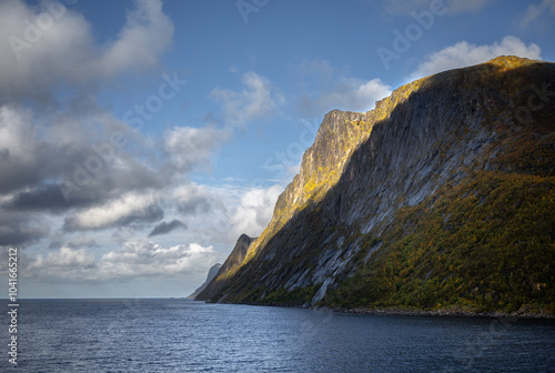 A beautiful autumn landscae with golden birch leaves in Senja island, Northern Norway.Seasonal scenery of Scandinavia.