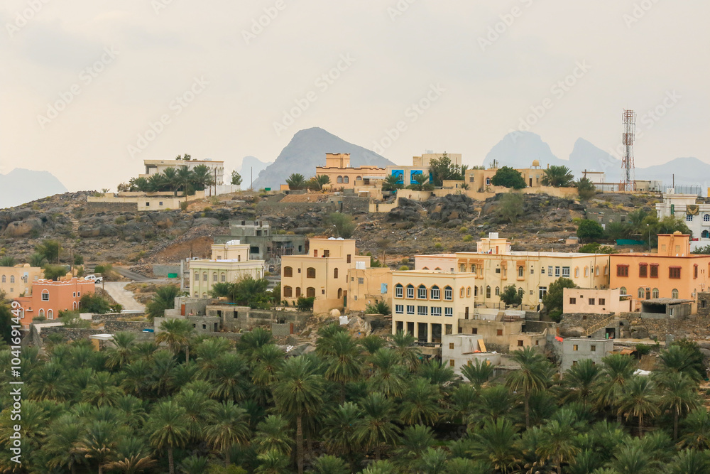 A tranquil village landscape in Oman showcasing traditional architecture and lush palm trees under a cloudy sky