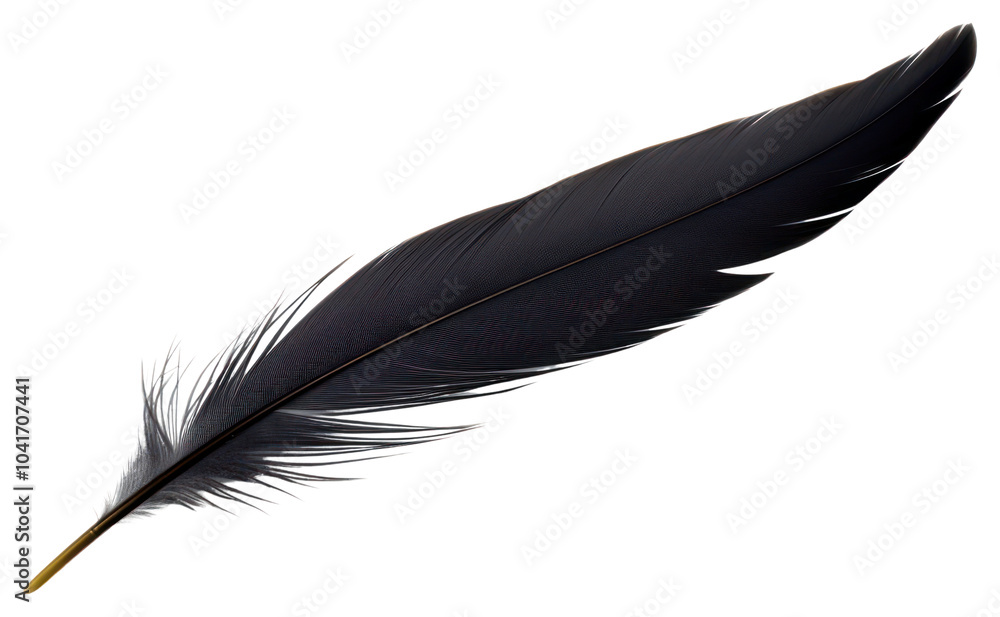 PNG Feather white background lightweight accessories. PNG Feather white background lightweight accessories.