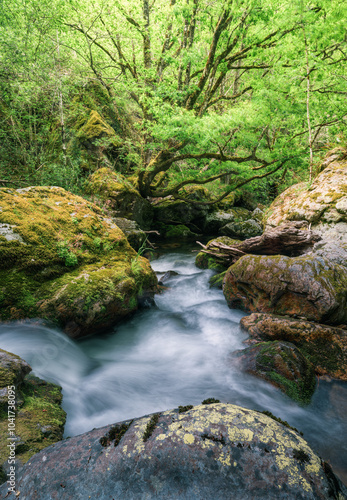 Huge granite rocks flank the course of a stream