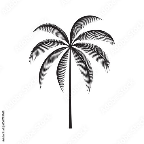 Coconut Palm Tree Illustration Silhouette Icon on White.