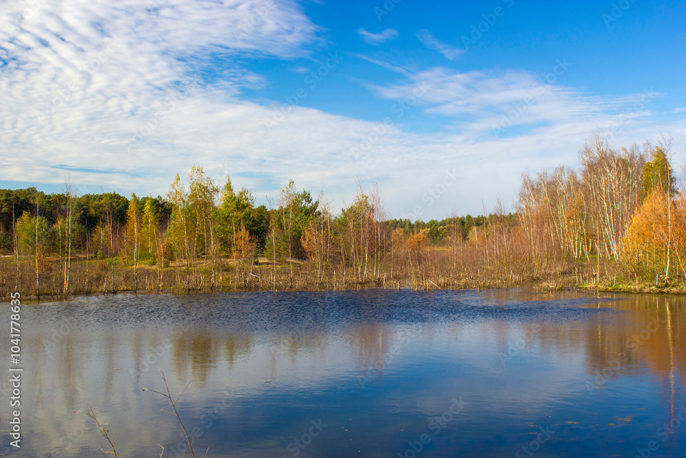 Fototapeta premium Landscape in the National Park Maasduinen in the Netherlands