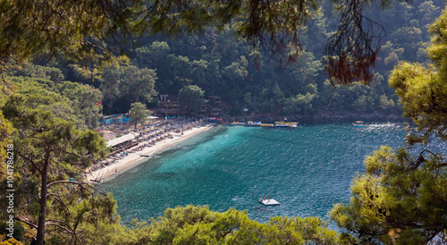 Exploring the tranquil beaches of Fethiye during a sunny day amidst lush greenery