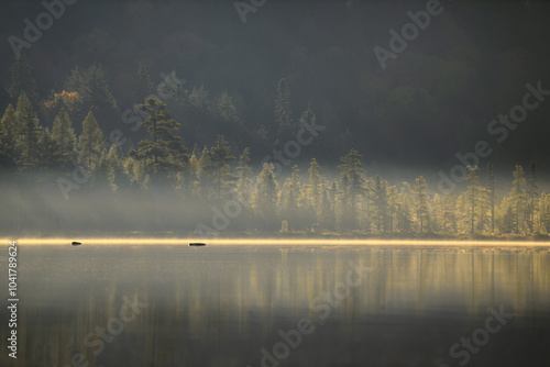 Algonquin Park Morning