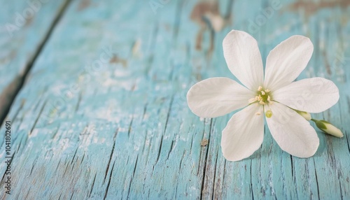 A delicate white flower rests on a textured, weathered blue wooden surface, creating a serene and calming aesthetic.