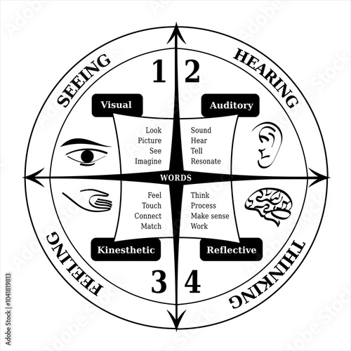 Diagramme 4 Styles Apprentissage / Communication - NLP - Coach - Noir et Blanc