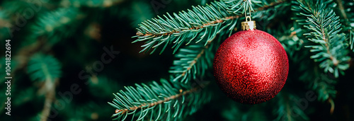 Festive red ornament hanging on evergreen branch during Christmas season. Christmas banner. photo