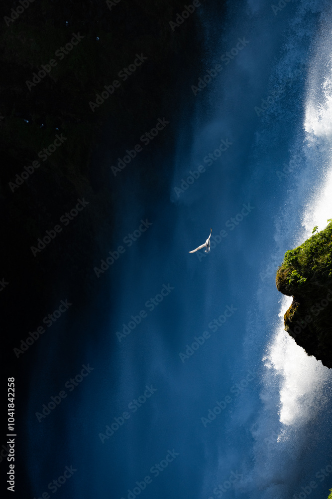 Stunning view of a seagull flying in front of the beautiful Skogafoss waterfall, Iceland.