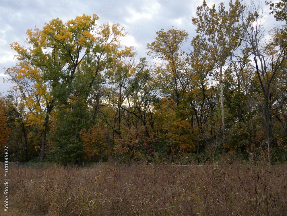 Fototapeta premium Autumn at Cedar Lake Public Park in Olathe KS