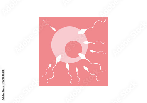 IVF stage, fertilization of egg, oocyte diagram and spermatozoa rushing to it, IVF - vector, flat color illustration