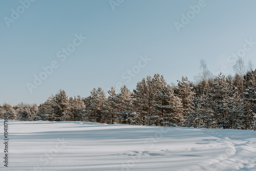 Wallpaper Mural Field and trees covered with snow. Beautiful winter landscape Torontodigital.ca
