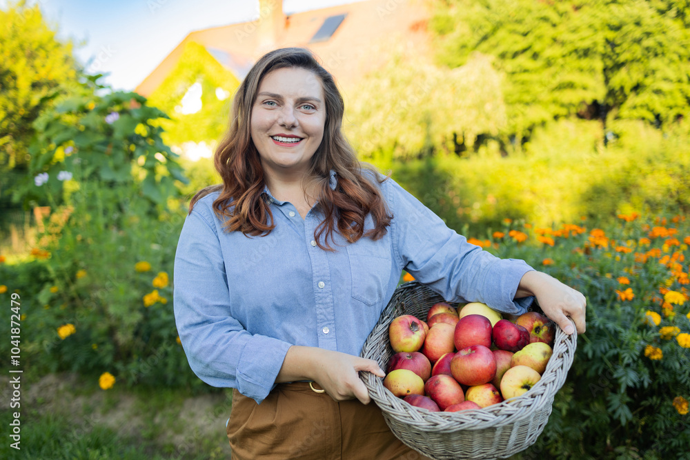 Fresh ripe apples from the orchard trees collected by the beautiful woman farmer she posing with the apple harvest in front of the camera and smelling the apple and smiles cute. High quality photo