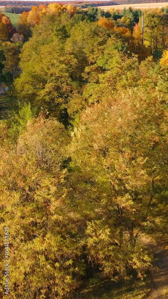 Flight over bright trees on blue water background. Golden top trees of a forest near beautiful wide lake in the countryside. Amazing scenery in autumn. Aerial view. Vertical video Flight over bright trees on blue water background. Golden top trees of a forest near beautiful wide lake in the countryside. Amazing scenery in autumn. Aerial view. Vertical video