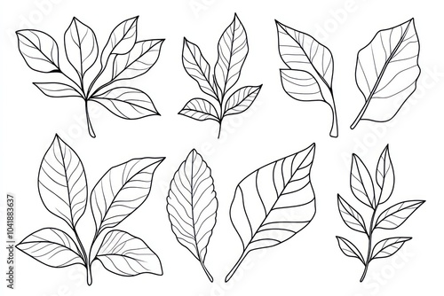 leaves for children's coloring book flat style, white background