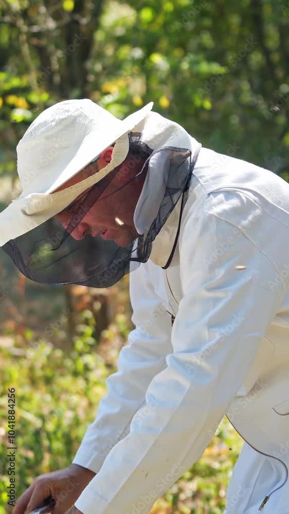 Beekeeper works with bees and beehives in the apiary. Beekeeping concept. Vertical video Beekeeper works with bees and beehives in the apiary. Beekeeping concept. Vertical video