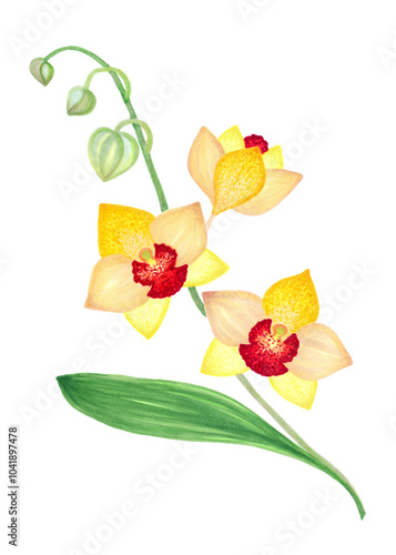 Branch with yellow orchid flowers, colorful hand drawing with markers for design of postcards, posters, surfaces.