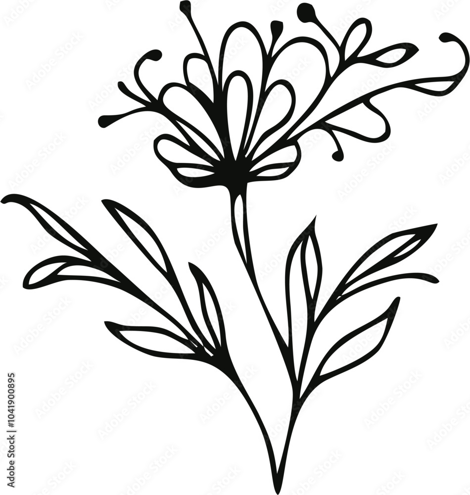 illustration of a flower illustration of a flower